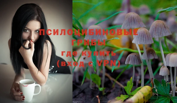 молекула духа Алексин