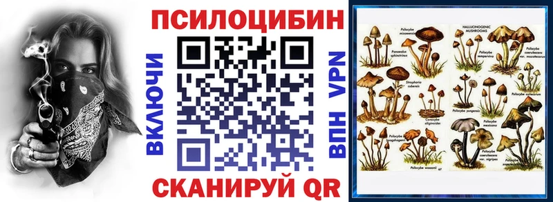 Галлюциногенные грибы GOLDEN TEACHER  дарк нет наркотические препараты  Шадринск  где можно купить  
