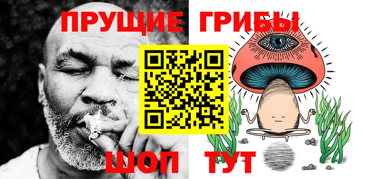 Псилоцибиновые грибы GOLDEN TEACHER  Вход с VPN  Шадринск  наркота  Псилоцибиновые грибы GOLDEN TEACHER 